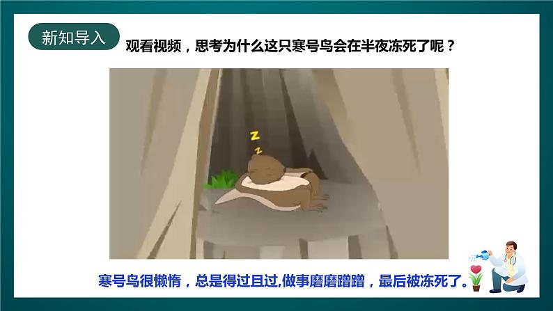 北师大版心理健康三年级下册 17.《和拖延说再见》 课件+教案+素材03