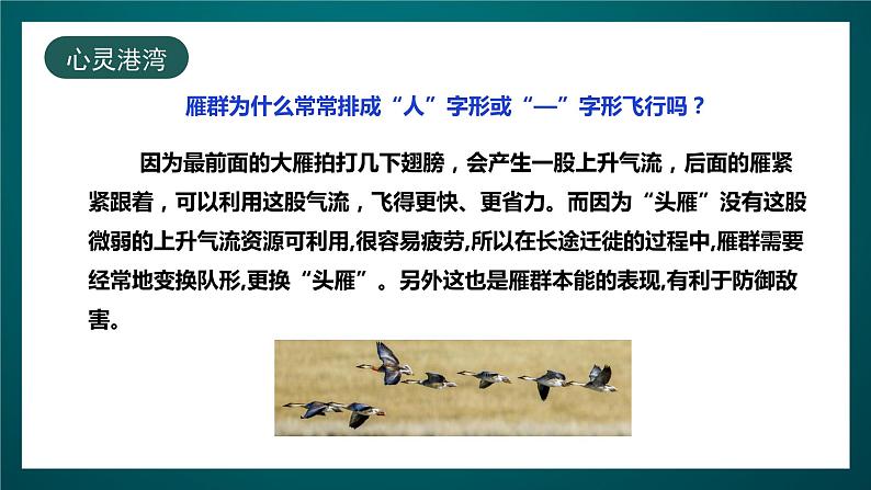 北师大版心理健康三年级下册 20.《班集体以我为荣》课件+教案08