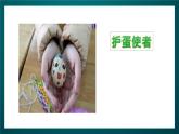 北师大版心理健康二年级下册 第二十四课 《帮爸爸妈妈分担  妈妈，谢谢您》课件