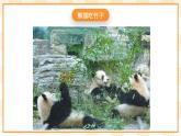 大象版心理健康四年级 7《学会观察》课件