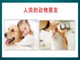 北师大版心理健康一年级下册16.《珍惜每一个生命》 课件+教案+素材