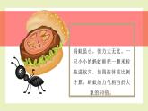 【北师大版】二上心理健康  第2课 了解我自己（课件+教案+素材）