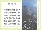 【北师大版】二上心理健康  第4课 如果我是他（课件+教案）