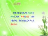大象版心理健康六年级13《笑迎挫折》课件PPT