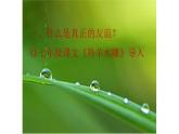 大象版心理健康六年级 10《真正的朋友》课件PPT