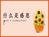 大象版心理健康六年级 14《感恩的心》课件PPT