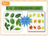 京教版心理健康教育五年级 1.1《不一样的我》课件+教案