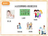京教版心理健康教育五年级4.2《 生命之树》 课件+教案