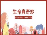 苏科版（2016）心理健康二年级 第17课《生命真奇妙》课件