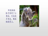 北師大版二年級下冊心理健康 30《自己的事自己做》ppt課件(共20張PPT)