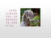 北師大版二年級下冊心理健康 30《自己的事自己做》ppt課件(共20張PPT)