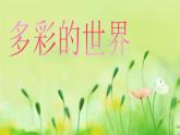 北師大版四年級(jí)下冊(cè)心理健康－11多彩的世界 ppt課件(共19張PPT)