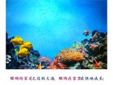 北师大版四年级下册心理健康－3我爱爸爸妈妈 ppt课件(共26张PPT)
