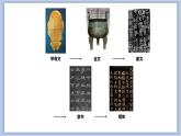 第6课 米字旁与火字旁 课件