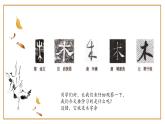 第7课《木字旁》课件+教案