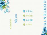 第5课《王字旁》课件+教案