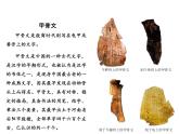 人美版四年级下册书法 8提手旁 课件