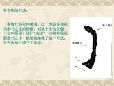 四年级下册书法课件－3弯钩独撑，上下宜对 ｜湘美版