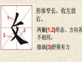 人美版五年级上册书法 3反文旁 课件
