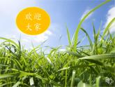 小学书法北师大版 三年级上册 竖折 一课一字《出》课件PPT