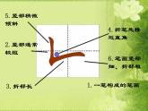 三年级下册书法课件－11竖折  ｜人美版