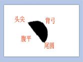 三年级上册书法课件－10.点｜湘美版