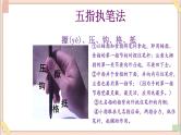 六年级上册书法课件-3《木字底》 湘美版