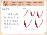 三年级上册书法课件－5.收笔的方式｜西泠版