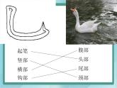 三年级下册书法课件－3竖弯钩｜北师大版