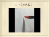 第13课《左右相对点》课件+教案