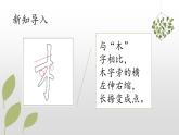 第9课《木字旁》课件+教案
