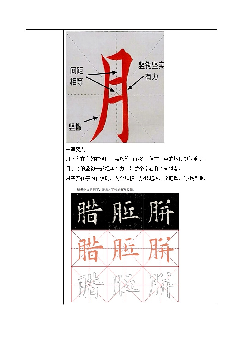 第11课《月字旁》教案第2页