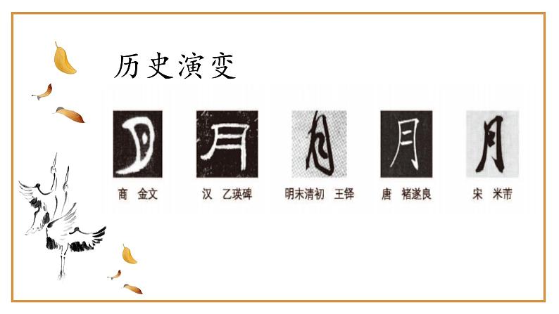 第11课《月字旁》课件第4页