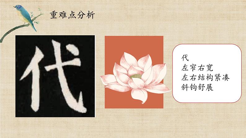 第13课《宽博舒展》课件第8页