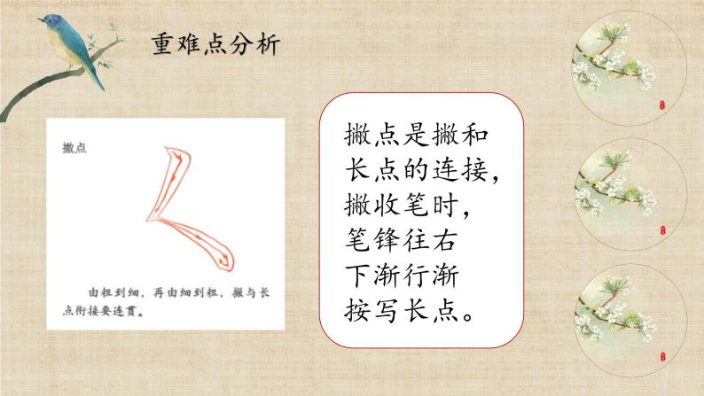 书法练习指导三年级下册第1课 撇折和撇点精品ppt课件-教习网|课件下载