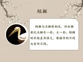 湘美版书法三下 第六课（短撇） 课件PPT+教案
