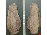 湘美版书法四下 9《三点水》课件