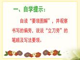 湘美版书法五下 1《立刀旁》 课件PPT