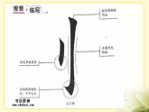湘美版书法五下 1《立刀旁》 课件PPT