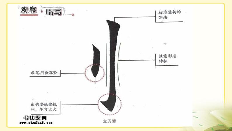 湘美版书法五下 1《立刀旁》 课件PPT05