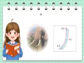 第6课《长撇》课件+教案