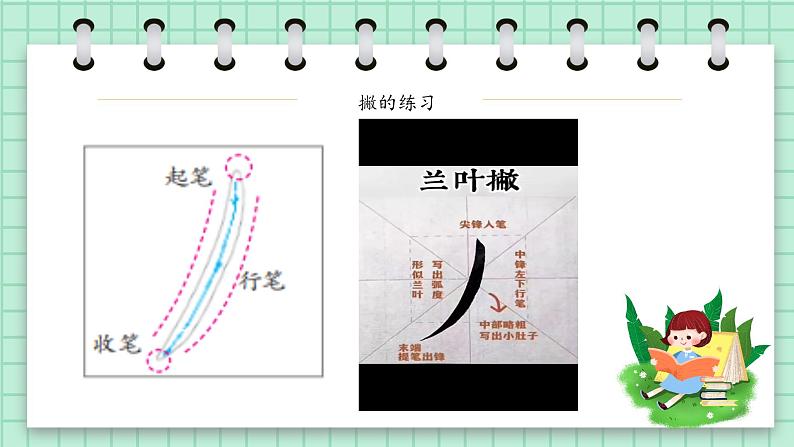 第10课《兰叶撇》课件+教案07