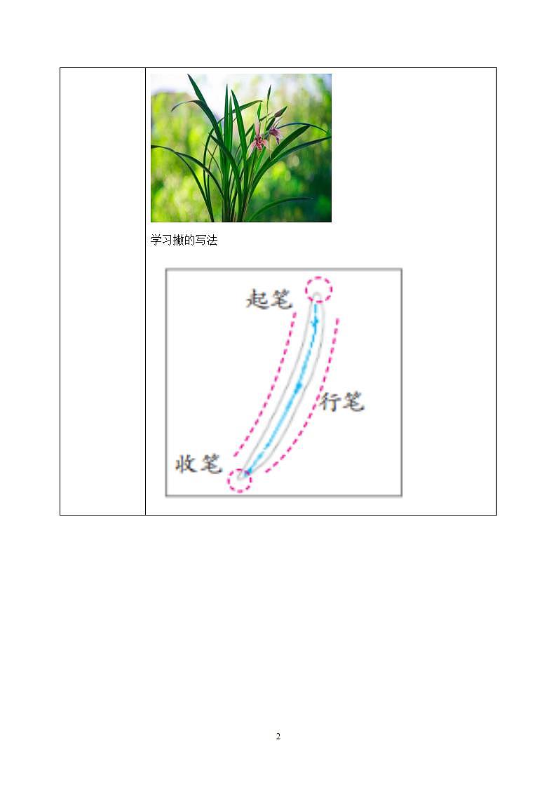 第11课《撇的组合》课件+教案02