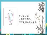第14课《竖点》课件+教案