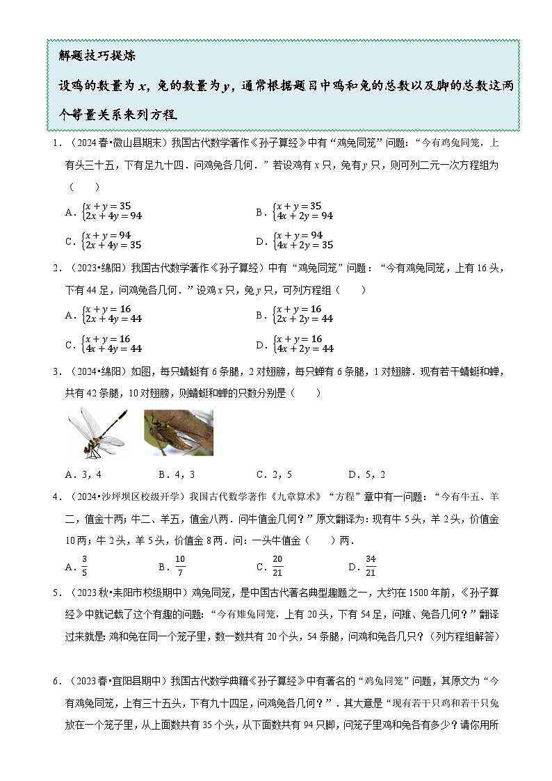 5.3 应用二元一次方程组---鸡兔同笼（8大题型提分练）（原卷版）-A4第2页