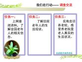 小学 综合实践活动 我是尊老敬老好少年 走近老年人朋友 部优课件