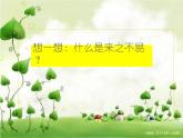 小学 综合实践活动 来之不易的粮食 部优课件