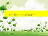 小学 综合实践活动 来之不易的粮食 部优课件