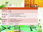 小学 综合实践活动 来之不易的粮食 部优课件