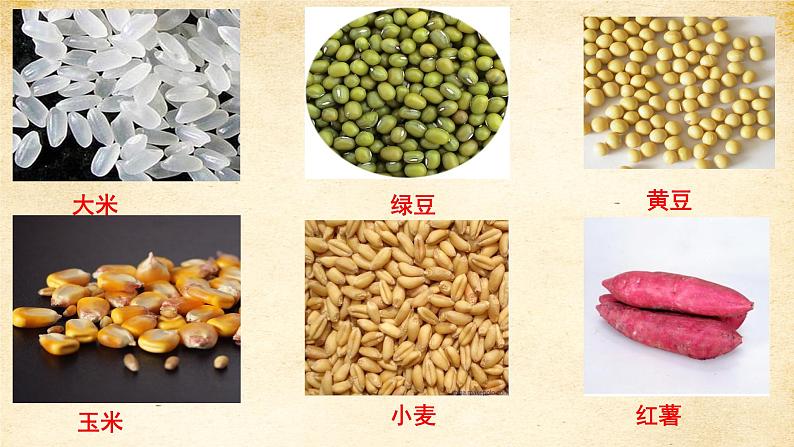 小学 综合实践活动 来之不易的粮食 《我和农作物做朋友——粮食篇》 部优课件02